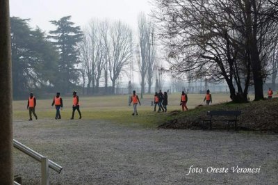 La pulizia del Viale e della Villa Bagatti